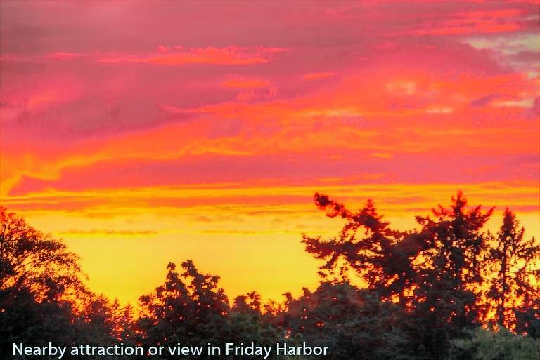 Condo  Friday Harbor