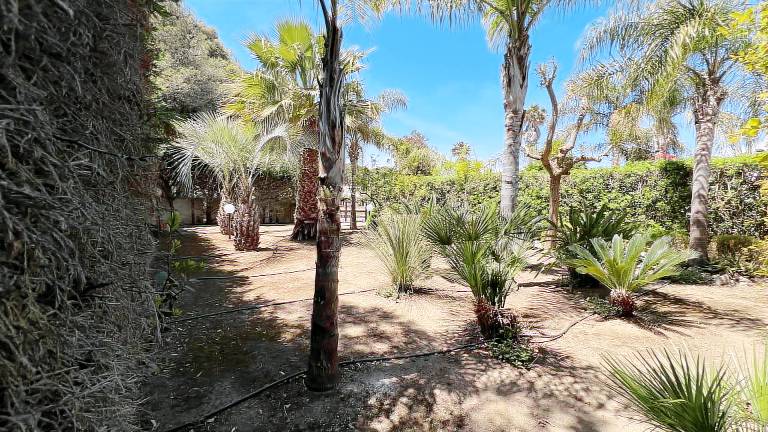 Villa with terrace & grill | Nature view — photo 4
