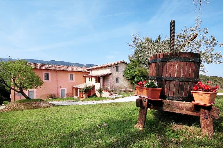 Tenuta San Felice: GELSO — photo 5