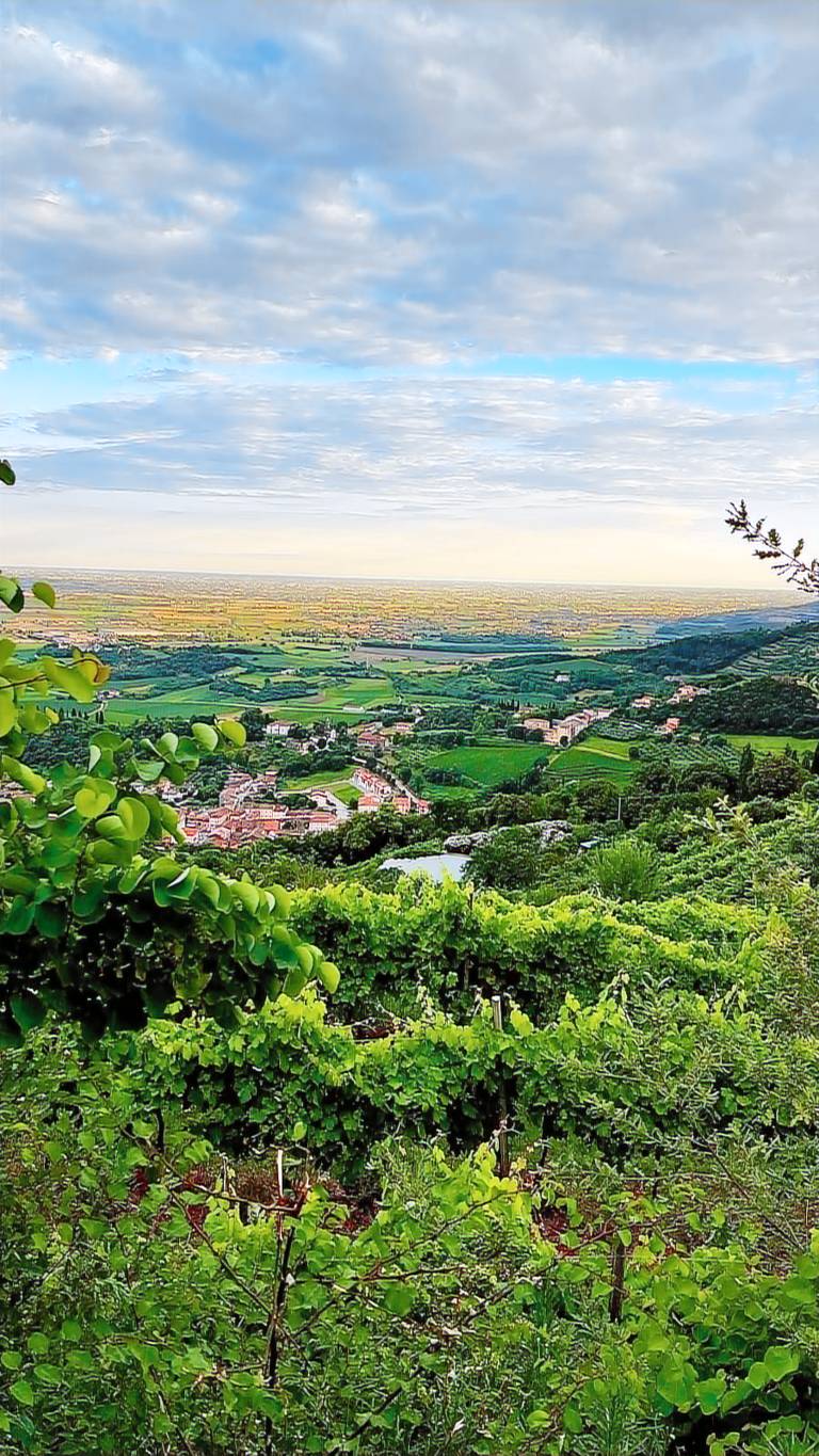 Al Vecio Magazin - Agriturismo con panorama Colli Berici, gestione familiare, cibo locale, passeggiate, uliveti, pet-friendly: Camera doppia — photo 3