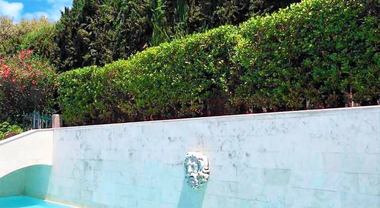Villa Donna Anna — photo 4