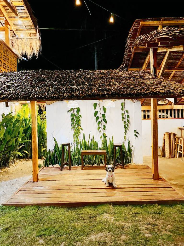 Wonderful holiday apartment | Close to the beach | Perfect for remote work | Pet-friendly — photo 4