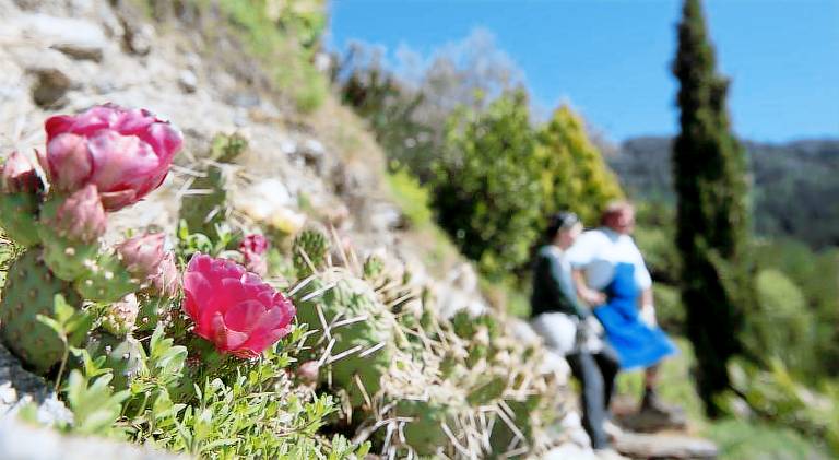 Biohof Niedereben in Parcines