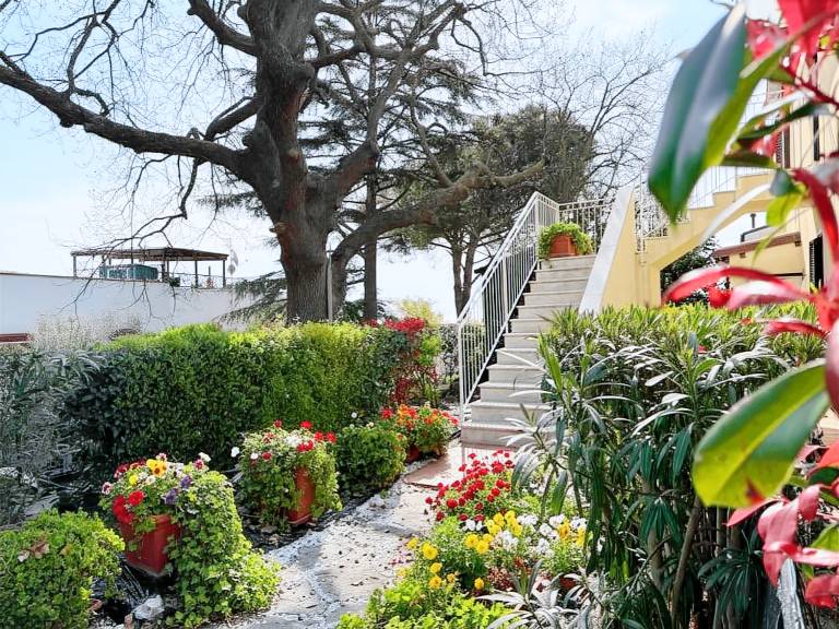 Holiday apartment with terrace | Pets allowed in Camerano