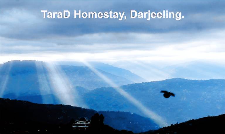 Apartment Darjeeling