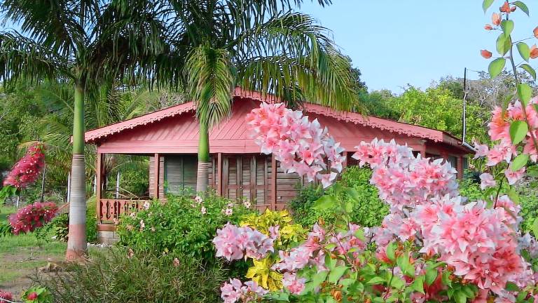 Cabin Little Bay