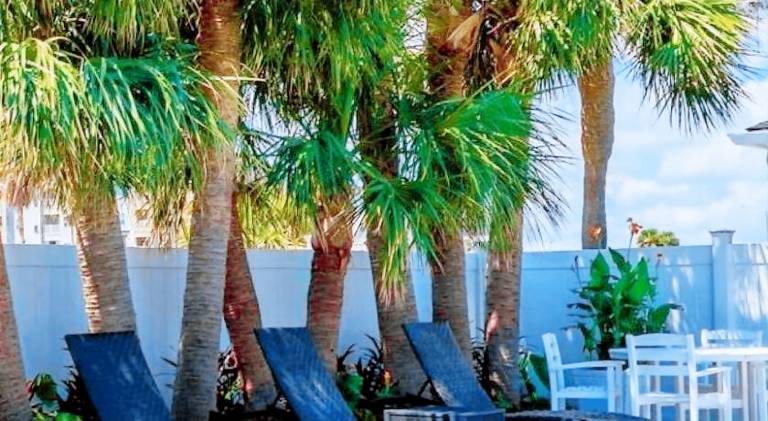 Serviced apartment with private pool & grill | Next to the beach | Pets are welcome — photo 4