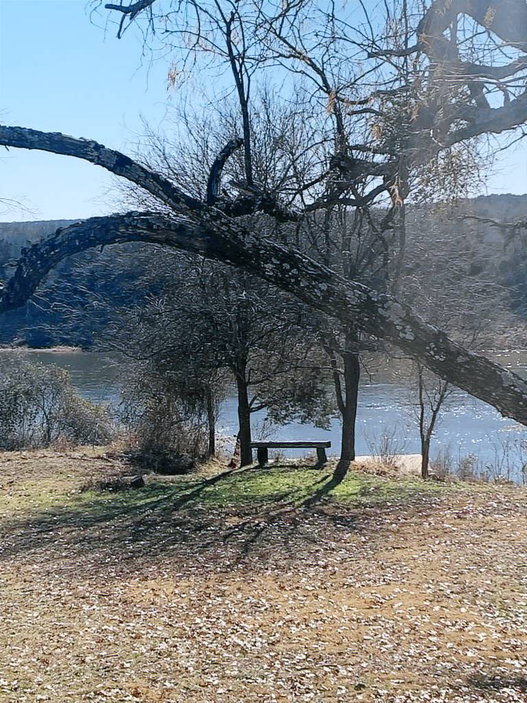 House Marble Falls