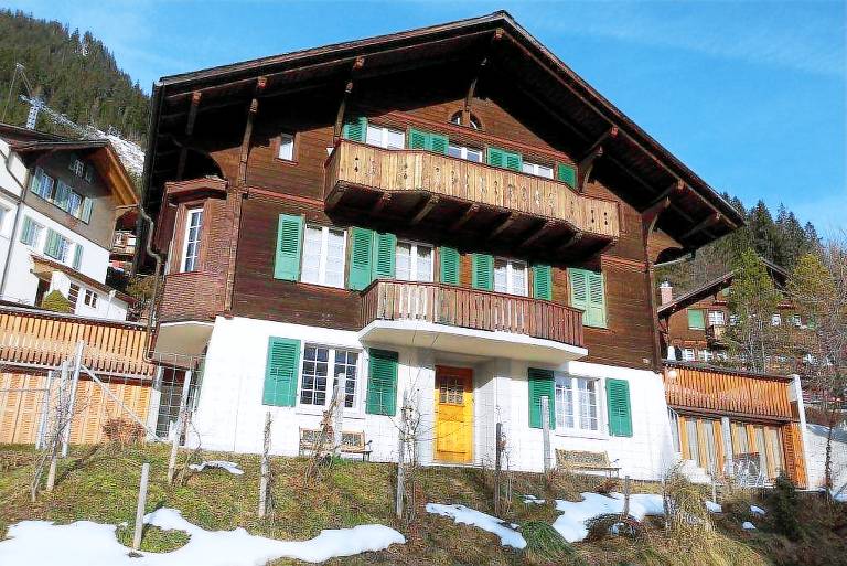 foto1