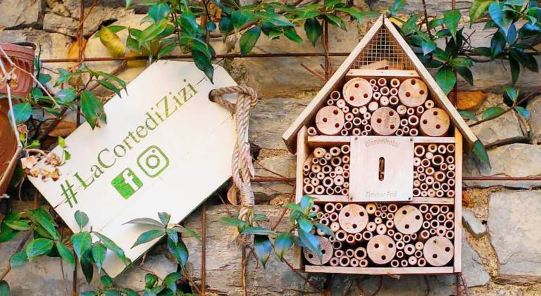 Vacation home with yard in Brunate