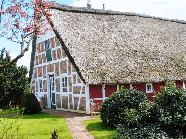 Wonderful house | Dogs allowed — photo 2