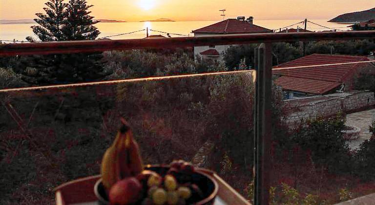 Nice villa with patio & garden | Close to the beach | Perfect for remote work | Dogs allowed — photo 4