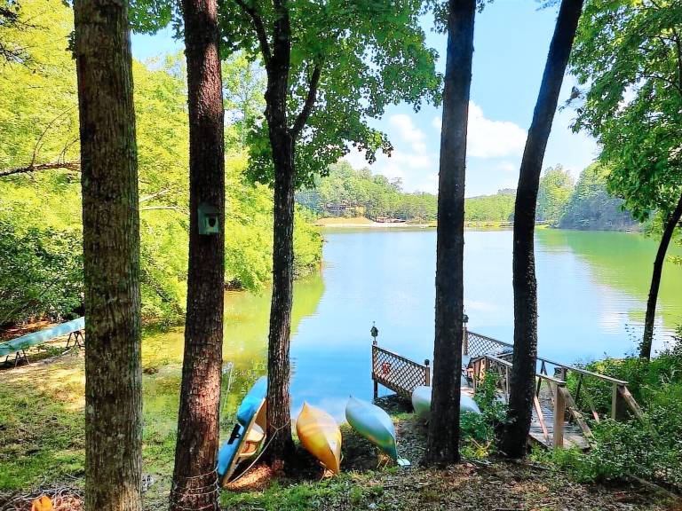 Cabin Lake Lure