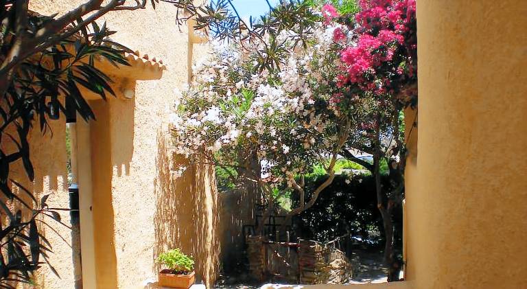 House | Close to the beach | Dogs allowed — photo 4