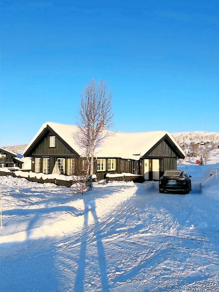 Vacation home with sauna & terrace — photo 2