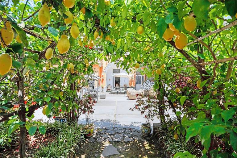 Villa 'Sulle Colline Di Sorrento' with Sea View, Wi-Fi and Air Conditioning — photo 4
