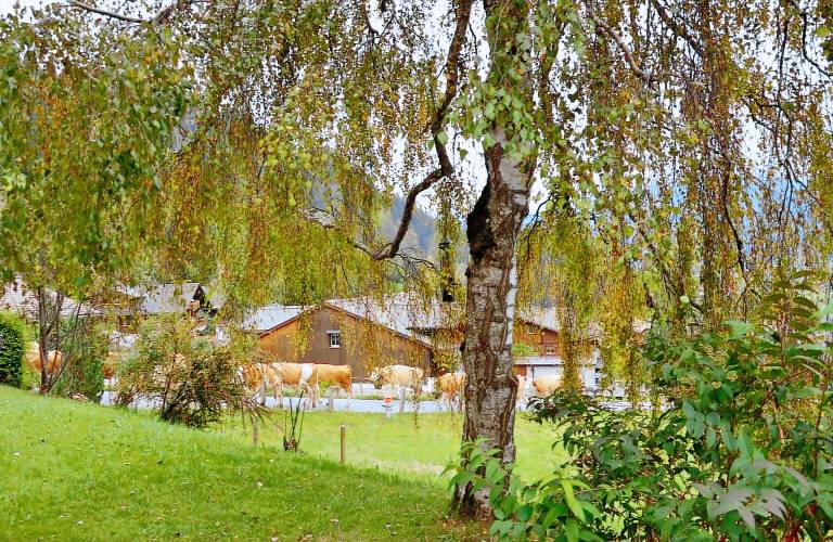 Children-friendly apartment with BBQ, terrace & garden | Pet-friendly — photo 3