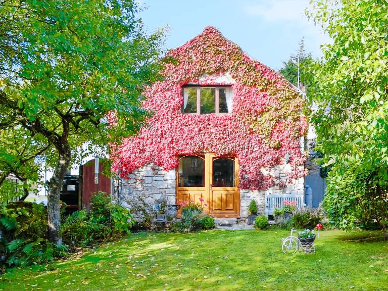 Bryn Dedwydd Cottage