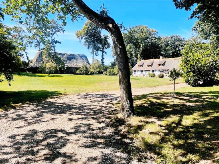 House with yard — photo 4