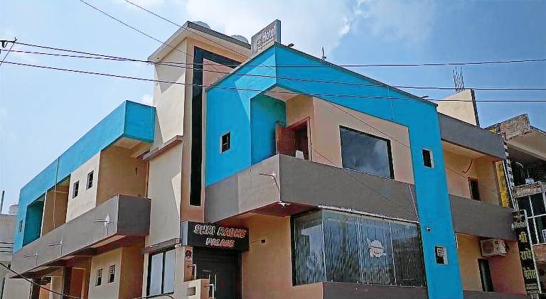 Shree Radhe Palace — photo 3