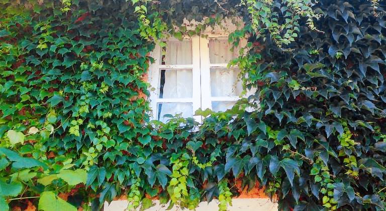 Casa Lourido in A Coruña