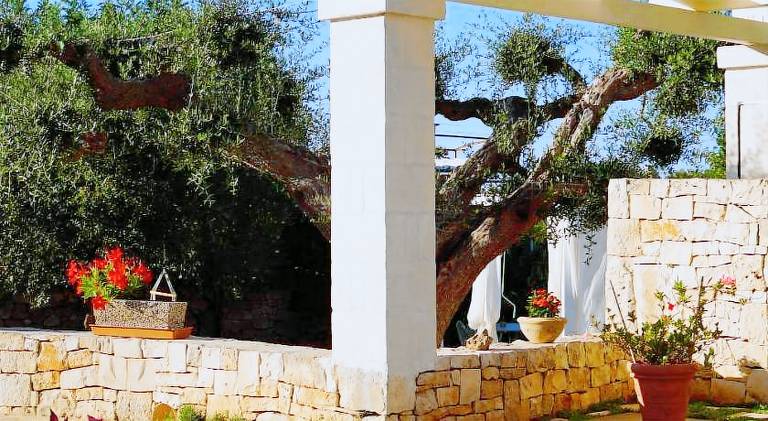 Trulli Pastore — photo 2