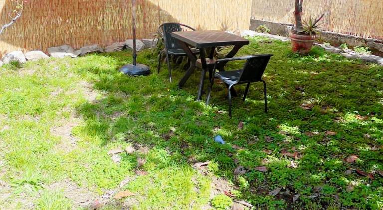 Holiday apartment with 1 room for 3 persons — photo 4
