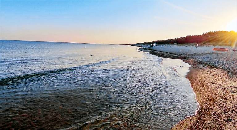 Nice rental apartment | Close to the beach | Dogs allowed — photo 2