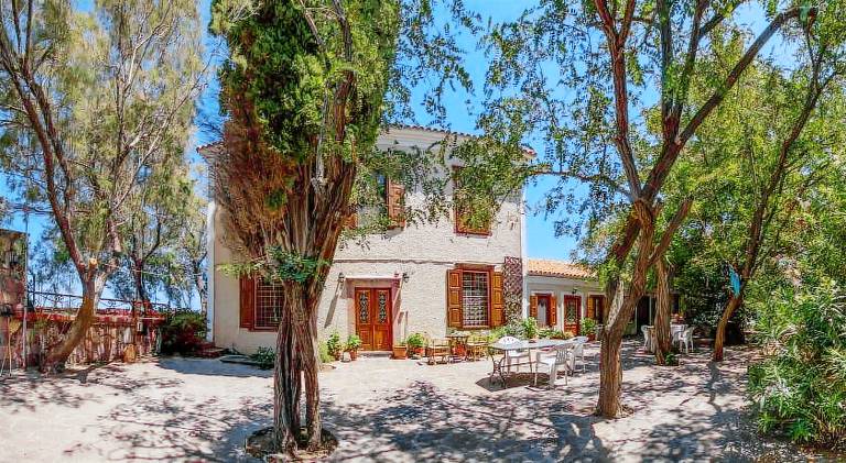 Lela Kaptani Eftalou Olive Grove — photo 4