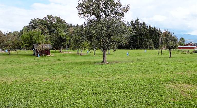 foto4