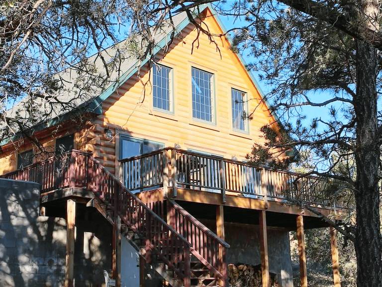 Cabin Williams