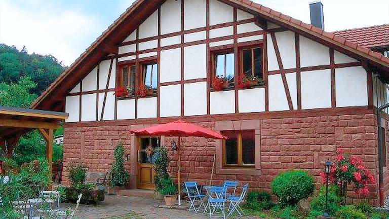Ferienwohnung Schönau (Pfalz)