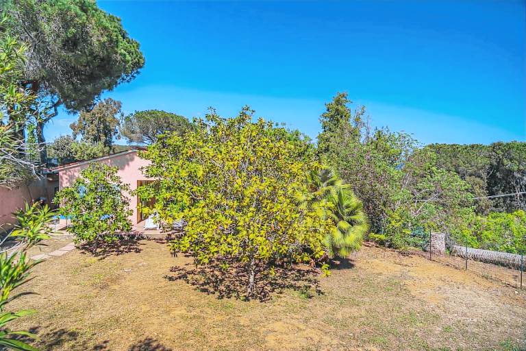 Villa with terrace & yard — photo 4