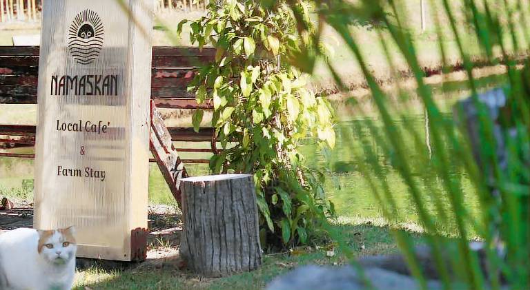 Bungalow with garden | Water view | Pets are welcome — photo 3