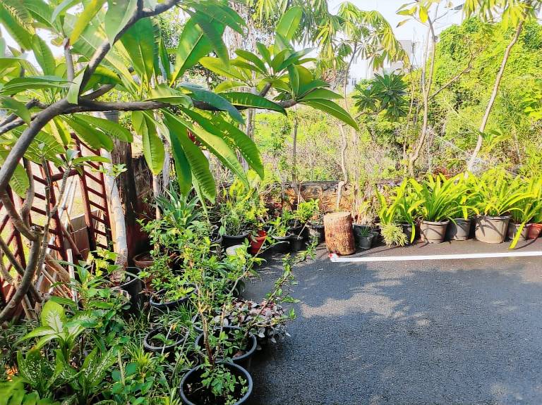 Bed & Breakfast Chennai