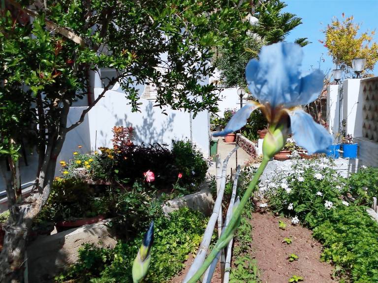 Appartamento Cala Gonone