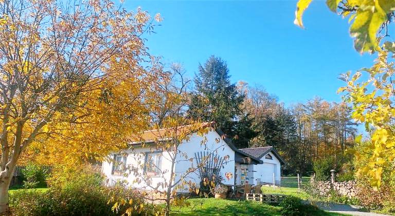 Charming house | Pets allowed in Chemnitz