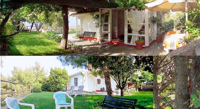Rental apartment | Pet-friendly in Imperia