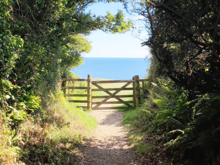 Cottage with garden | Beach view — photo 5