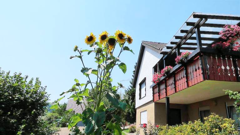 Ferienwohnung  Weilheim