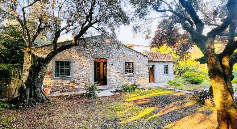 House with 1 room for 4 persons in Pietrasanta