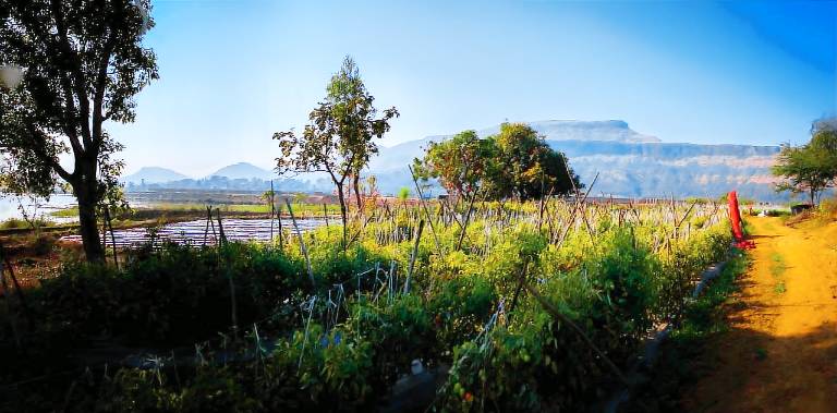 Vacation home with yard & barbeque | Perfect for remote work | Dogs allowed in Igatpuri