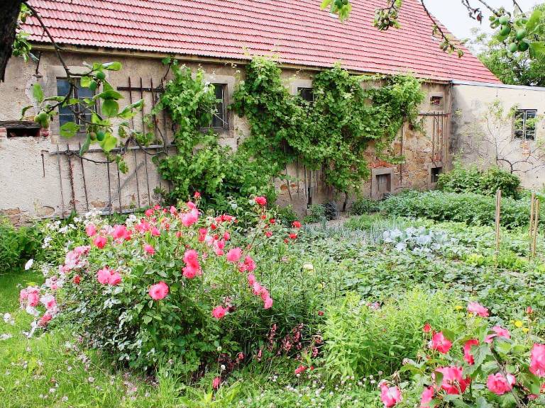 50 m&sup2; Ferienwohnung