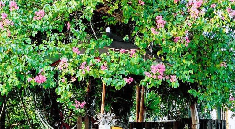 Beautiful vacation home | Pet-friendly — photo 4