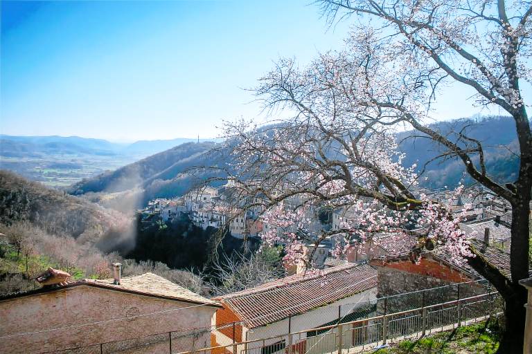 foto2