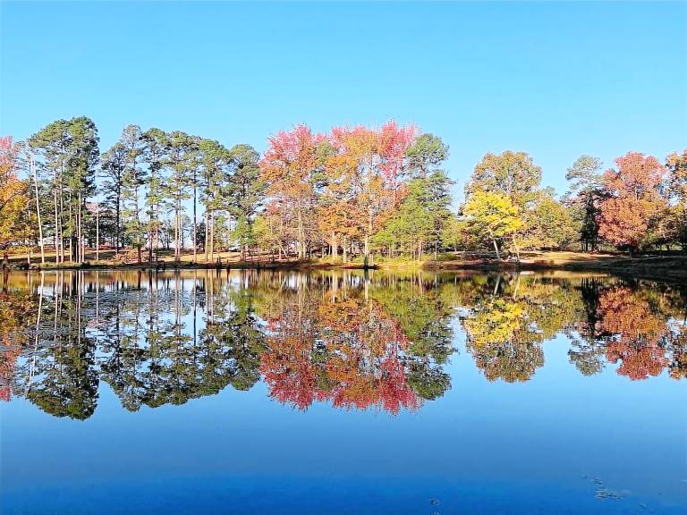 Cottage Lake Fort Smith State Park