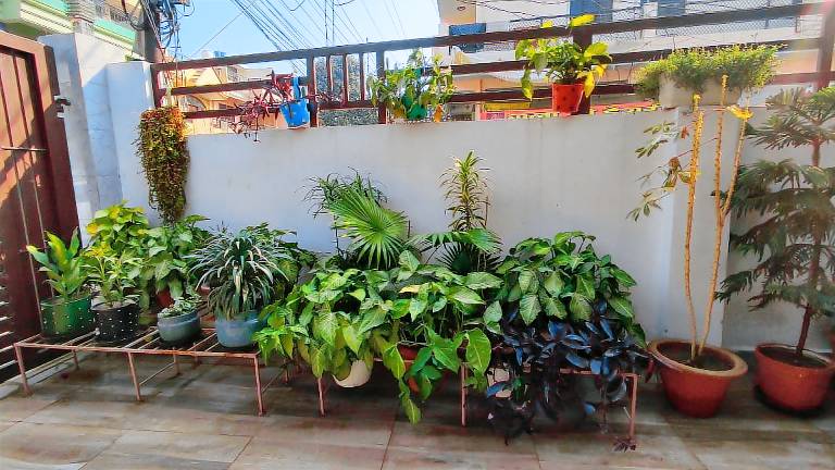 Kumbhak Homestay near Triveni