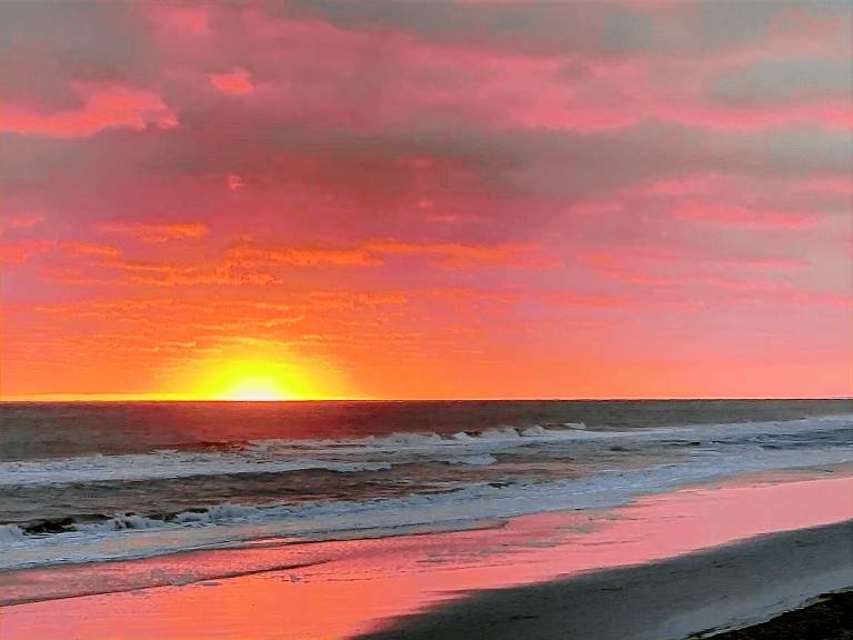Cottage Oak Island