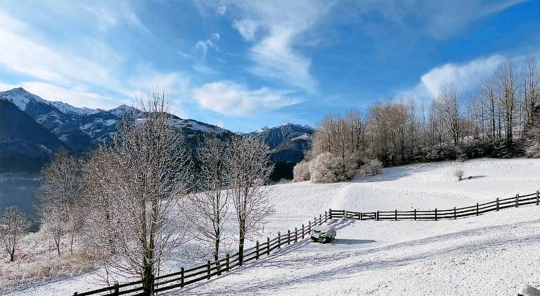 B&B Belvedere — photo 3