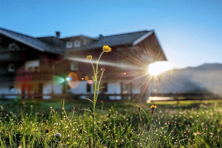 Fully equipped vacation home with garden | Ski nearby | Pets are welcome — photo 4